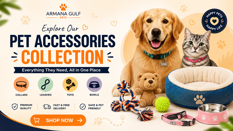 Dog Accessories
